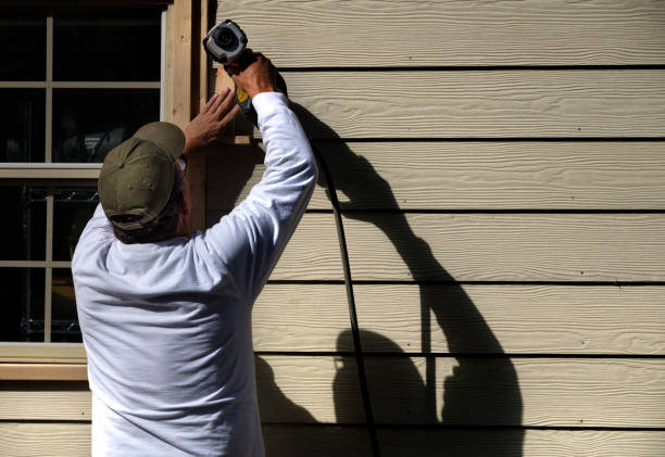Best Custom Siding Design  in Pagosa Springs, CO